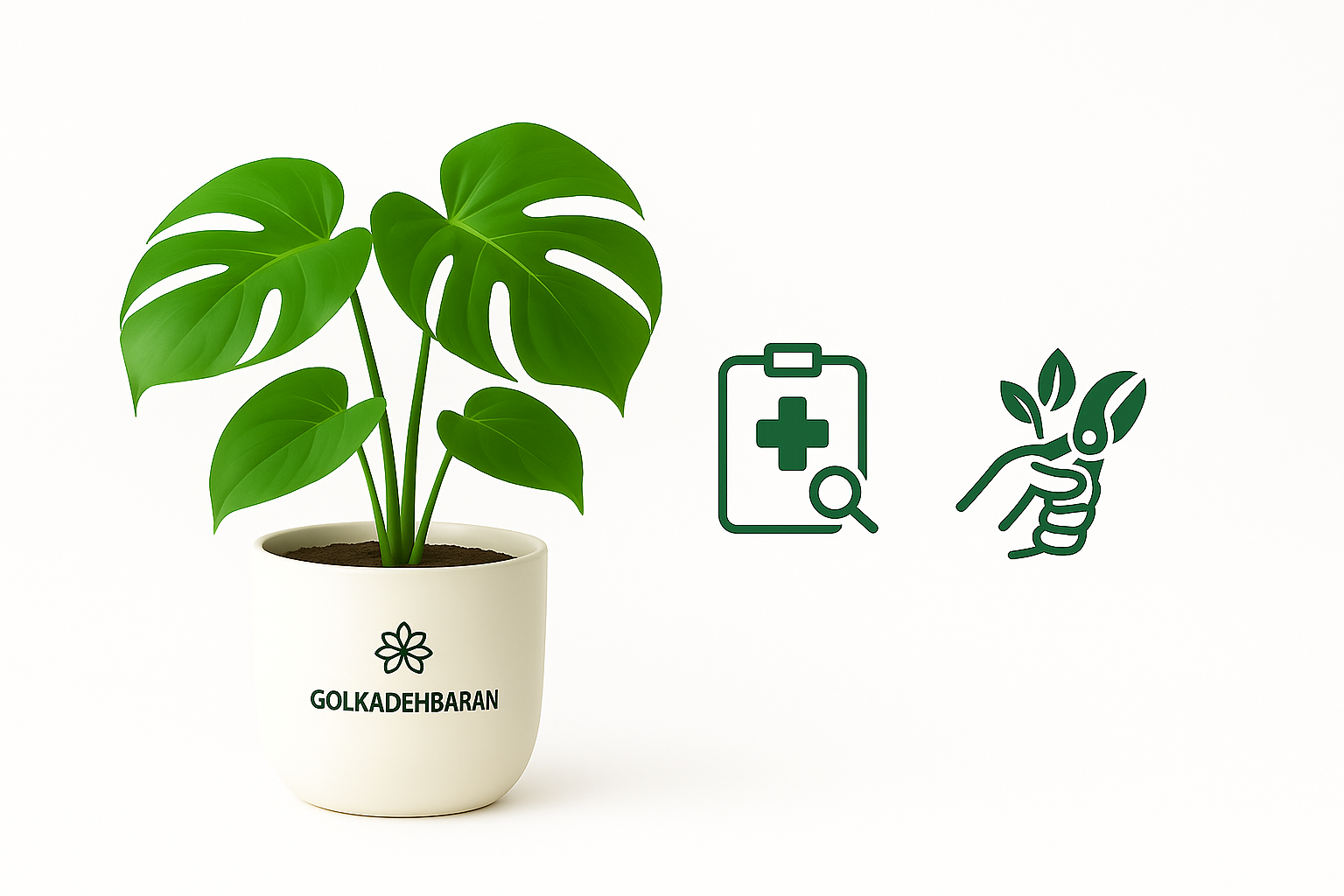 ویزیت و درمان